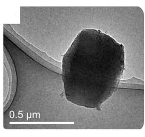 Open access visualization of Microscopy, Transmission electron microscopy, Crystal, 3D ED data