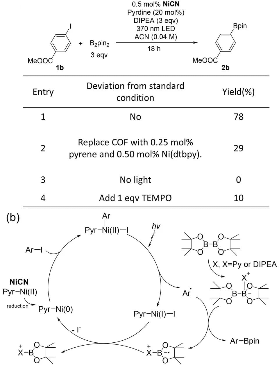 Open access visualization of Table Image, Workflow, Illustration, Borylation Reactions, Control experiment