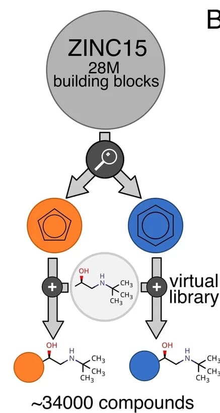 Open access visualization of Workflow, Flowchart, Computational Design, Ligands, Chemical Library