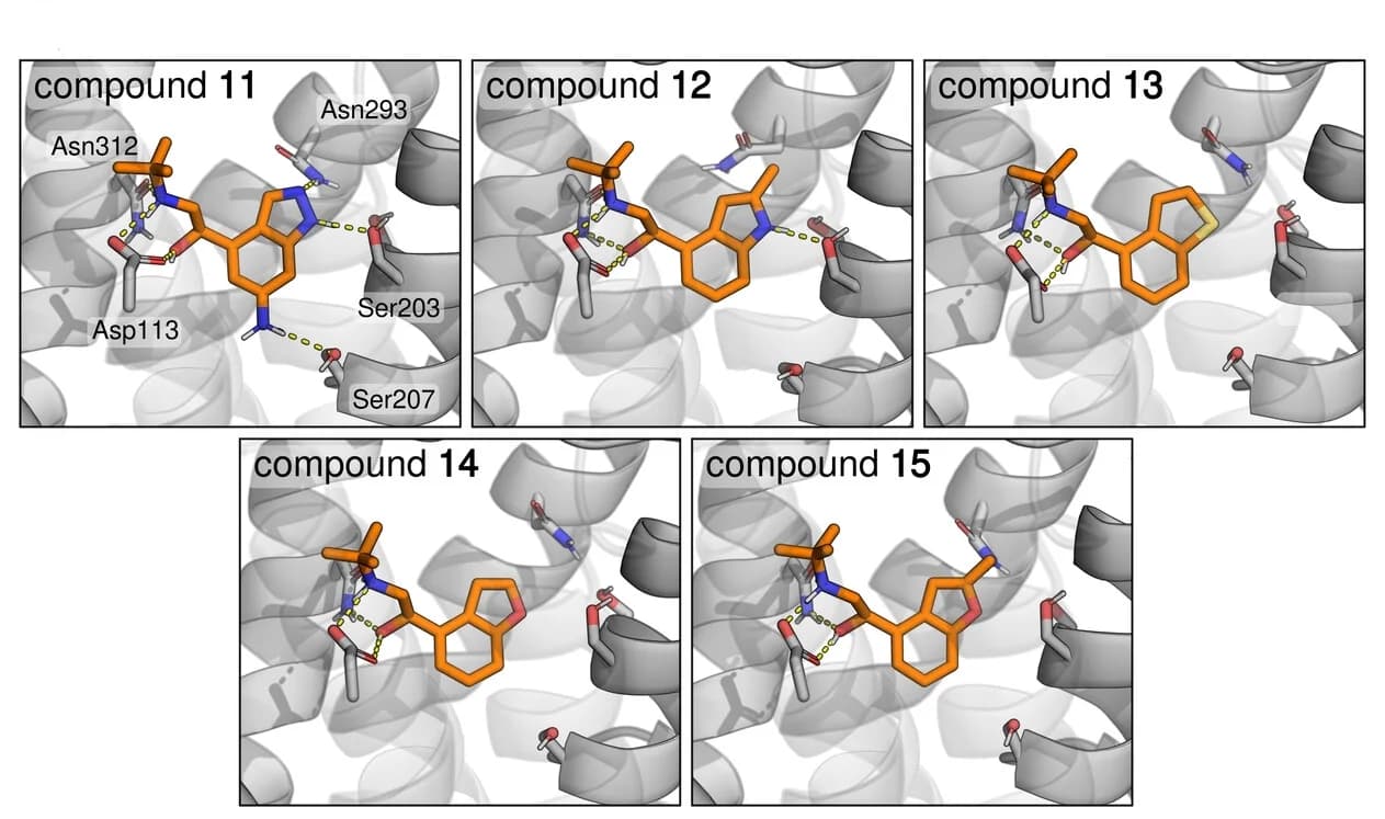 Open access visualization of Protein Structure, Chemical Structure, Binding Modes, MD Simulation, Receptor
