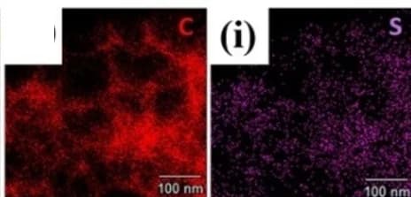 Open access visualization of Microscopy, HAADF-STEM, Elemental Distribution, M-SAs/NSC, Carbon