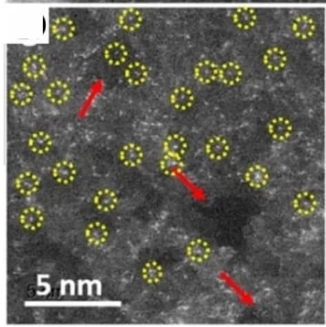 Open access visualization of Microscopy, HAADF-STEM, Ni-SAs/NSC, Single Atoms, In-plane Pores