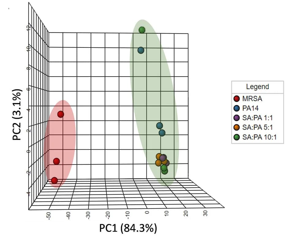 Open access visualization of 3D Plot, Principal Component Analysis, Biofilms, Metabolic Profile