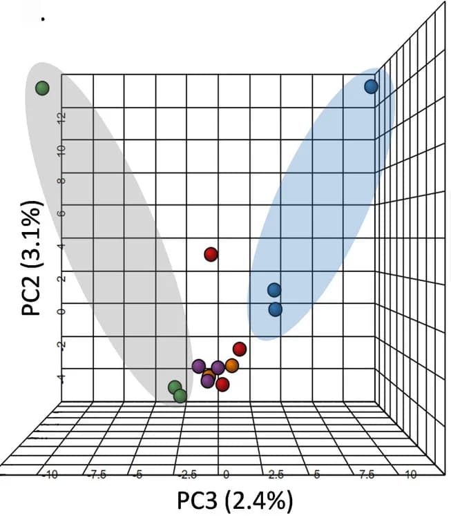 Open access visualization of 3D Plot, Scatter Plot, PCA, Principal Component Analysis, Biofilms