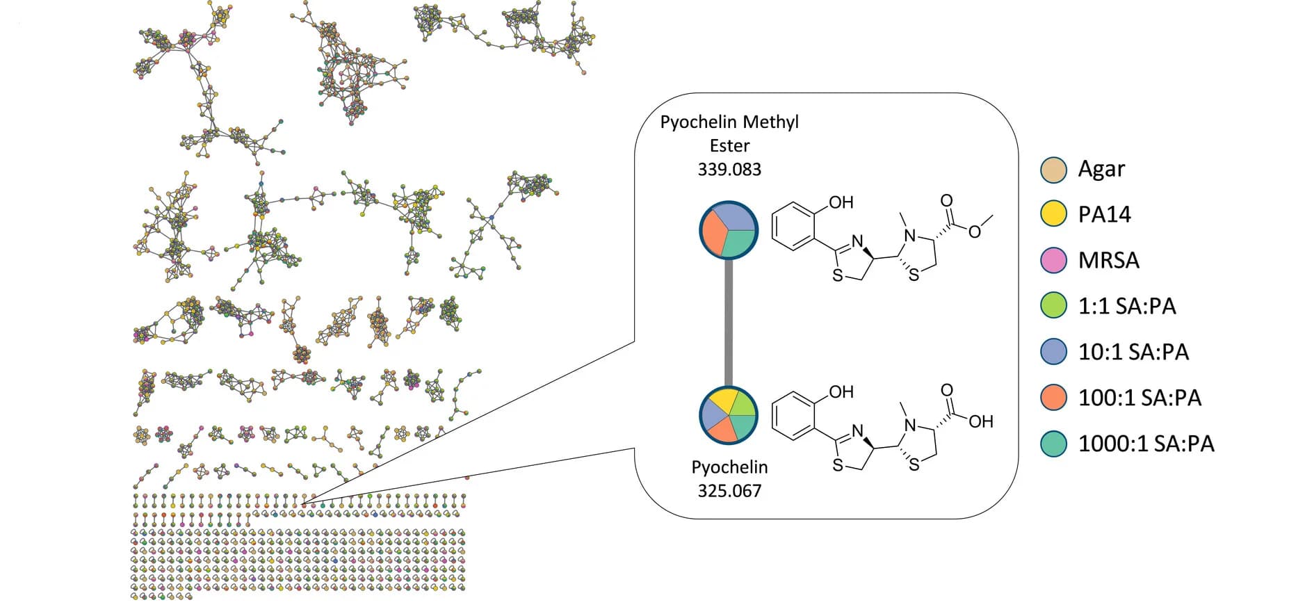 Open access visualization of Network, Chemical Structure, Pie Chart, Metabolites