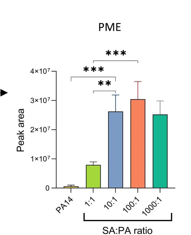 Open access visualization of Bar Plot, Error Bars, Peak Area, Pyochelin Methyl Ester