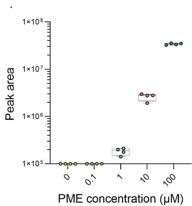 Open access visualization of Scatter Plot, Box Plot, P. aeruginosa, Metabolite, Methyl phenazine-1-carboxylate
