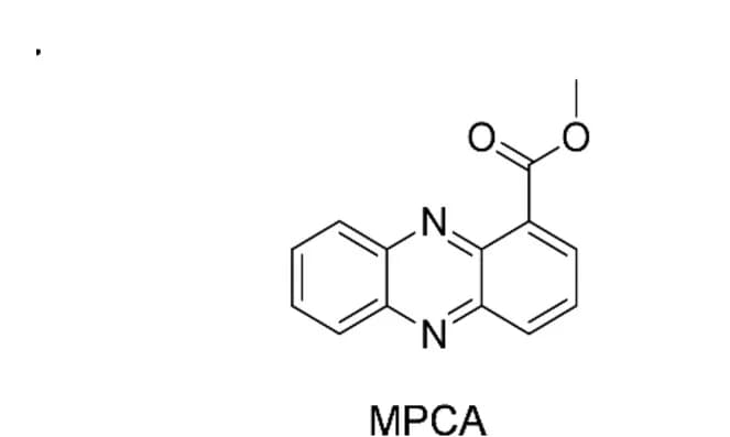 Open access visualization of Chemical Structure, MPCA, Structure