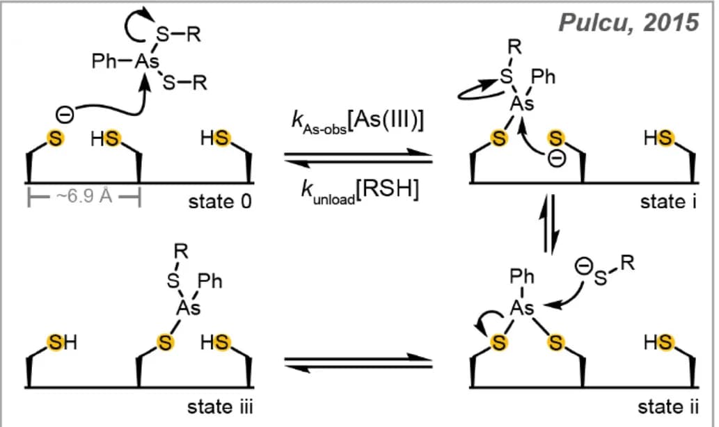 Open access visualization of Workflow, Illustration, Molecular walker, Protein track, Nucleophilic substitution