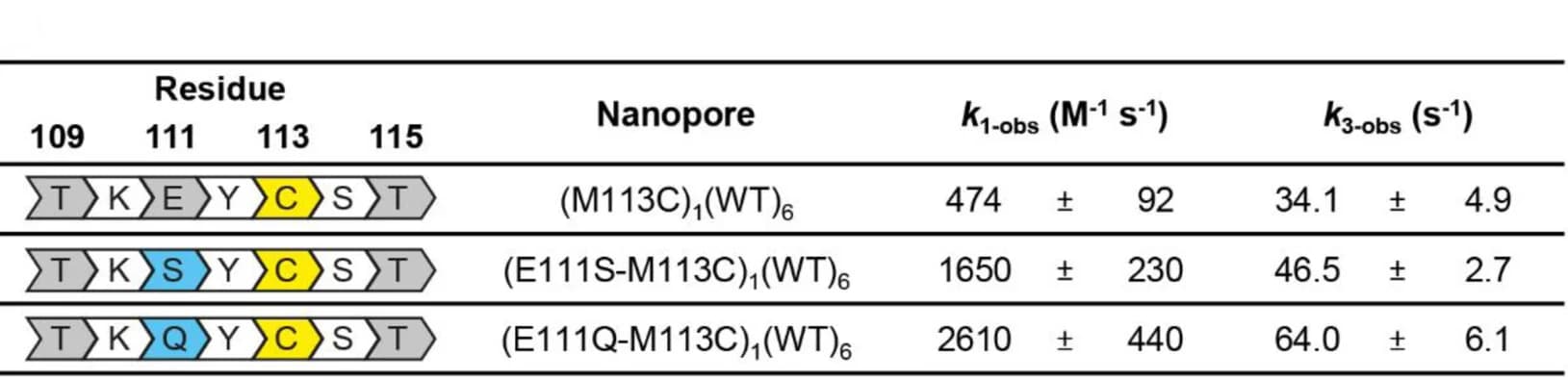 Open access visualization of Table Image, Rate Constants, Nucleophilic Attack, Intramolecular Cyclization, Dwell-Time Analysis