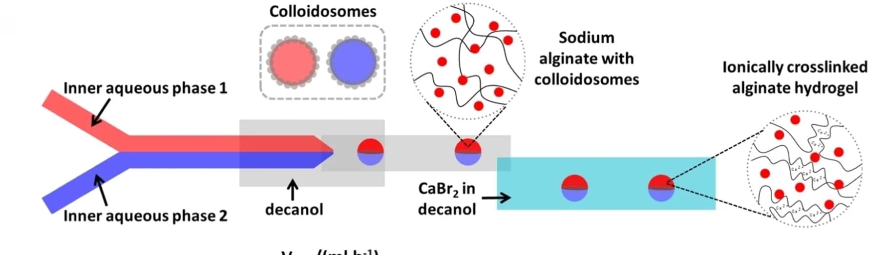 Open access visualization of Workflow, Flowchart, Illustration, Microfluidics, Colloidosomes