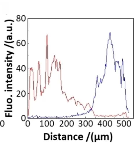Open access visualization of Line Plot, Hydrogel Microspheres, Colloidosomes, RITC, GOx