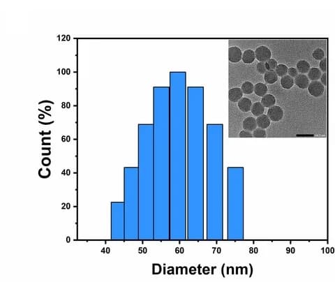 Open access visualization of Histogram, Microscopy, DLS, TEM, MINBs
