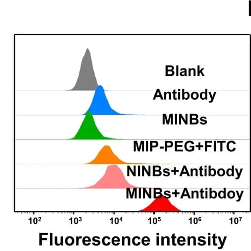 Open access visualization of Density Plot, Flow Cytometry, Antibody Recruitment, MINBs, Hs578T Cells