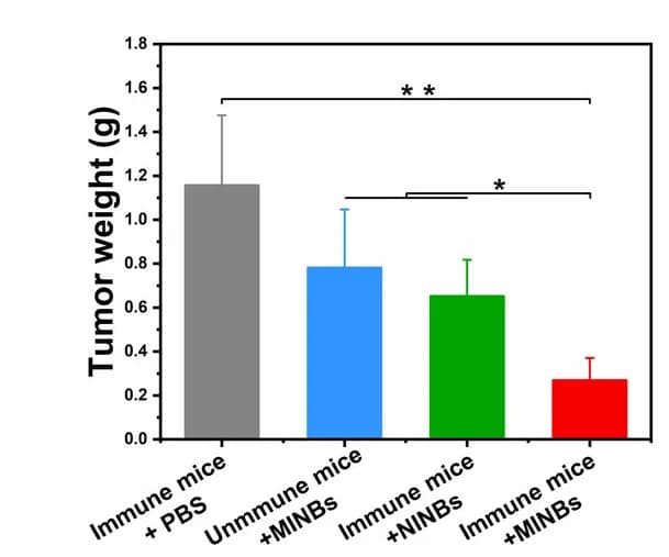 Open access visualization of Bar Plot, Error Bars, Tumor, Mice, Therapy