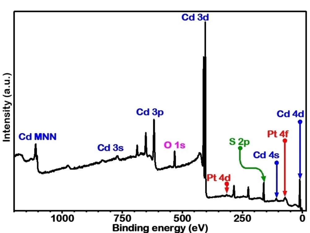 Open access visualization of Line Plot, XPS survey spectrum, PtSA-CdSIS