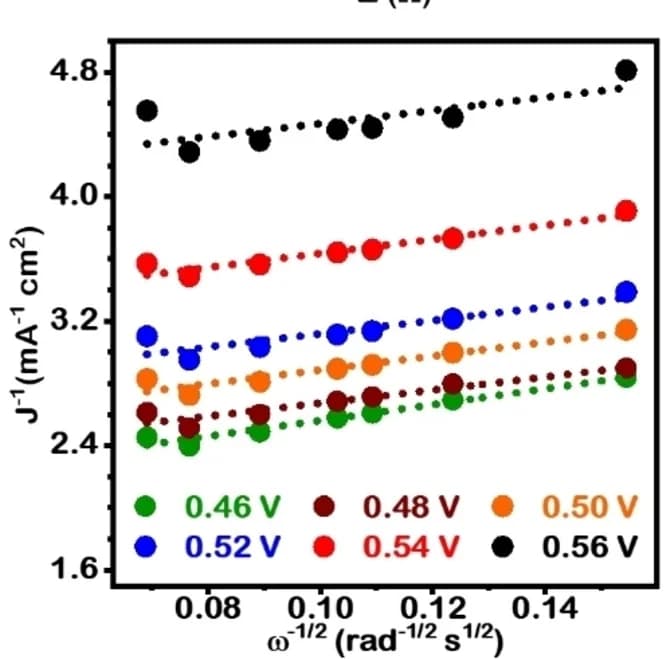 Open access visualization of Scatter Plot, Regression Plot, KouteckyLevich Plots, CdSIS, Potentials