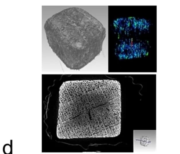 Open access visualization of Microscopy, CT Images, Fe3O4@D-wood, Fe3O4 Distribution, D-wood