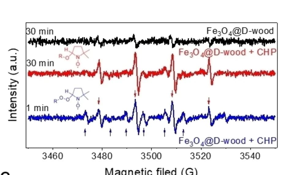 Open access visualization of Line Plot, ESR spectra, Fe3O4@D-wood, CHP, Solar irradiation