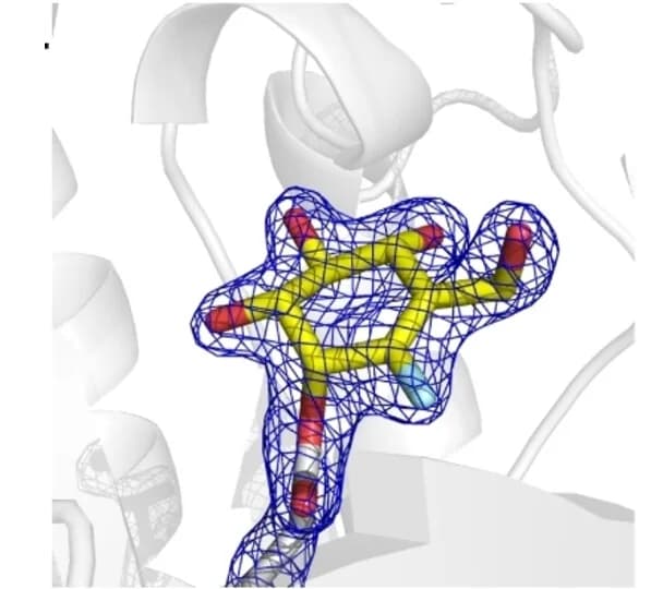 Open access visualization of Protein Structure, Chemical Structure, Isomesh map, Electron density, FVal ligand