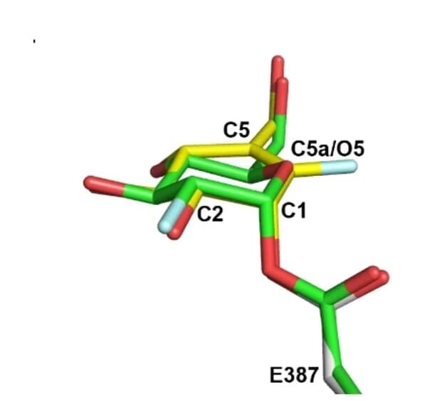 Open access visualization of Chemical Structure, FVal, 2FGlc-SSB, Covalent bond
