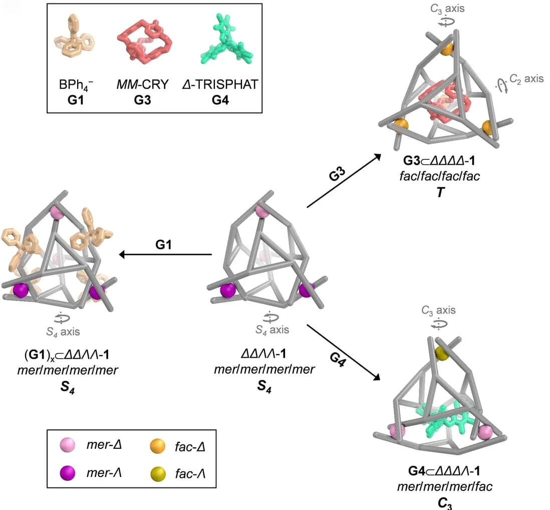 Open access visualization of Chemical Structure, Workflow, Schematic Diagram, Symmetry, Stereochemical Adaptation