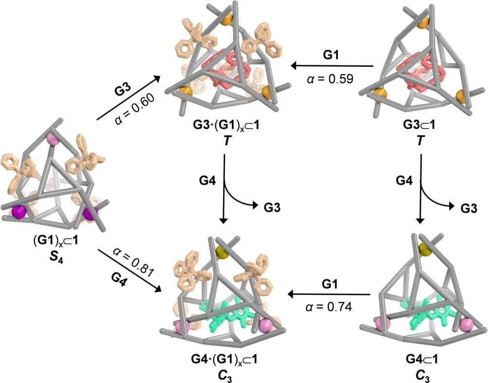 Open access visualization of Workflow, Flowchart, Allosteric effects, Cooperative binding