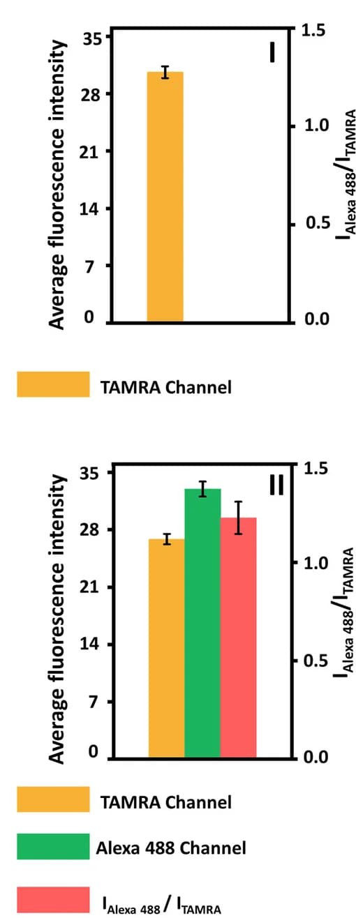 Open access visualization of Bar Plot, Error Bars, Clustered, Fluorescence Intensity, Fluorophores