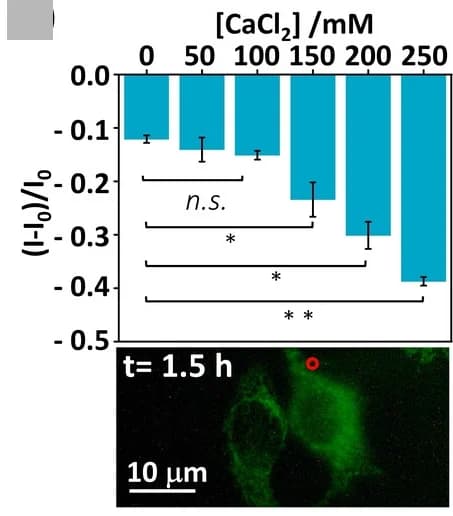 Open access visualization of Bar Plot, Error Bars, Microscopy, Apoptosis, CaCl2