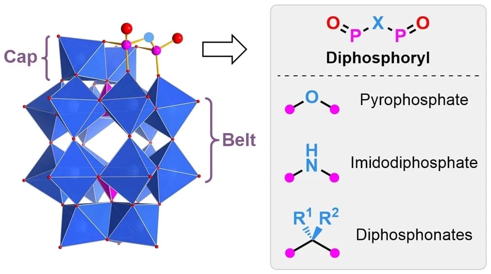Open access visualization of Chemical Structure, Illustration, Phosphotungstates, Polyhedra, Wells-Dawson