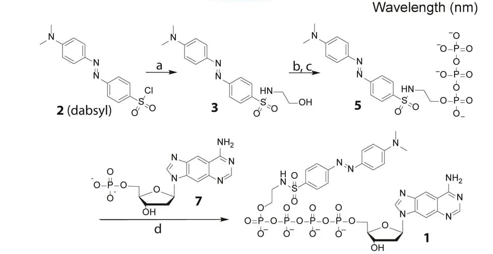 Open access visualization of Chemical Structure, xA Probe, Synthesis, Reactions, Conditions