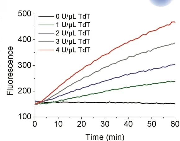 Open access visualization of Line Plot, TdT Activity, xA Probe1, Fluorescence