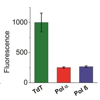 Open access visualization of Bar Plot, Error Bars, xA probe 1, TdT, DNA polymerases α