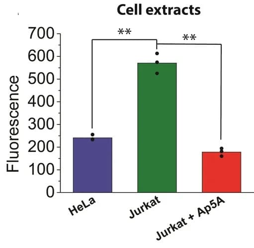 Open access visualization of Bar Plot, Error Bars, TdT Activity, Cell Extracts, Inhibition