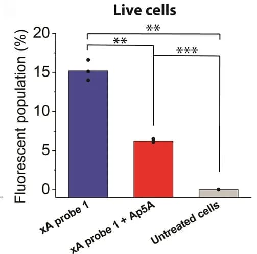 Open access visualization of Bar Plot, Error Bars, TdT Activity, Jurkat Cells, Transfection