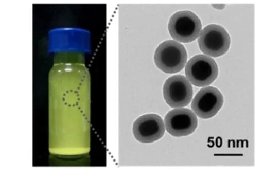 Open access visualization of Microscopy, Photo, Photograph, TEM Image, PBS