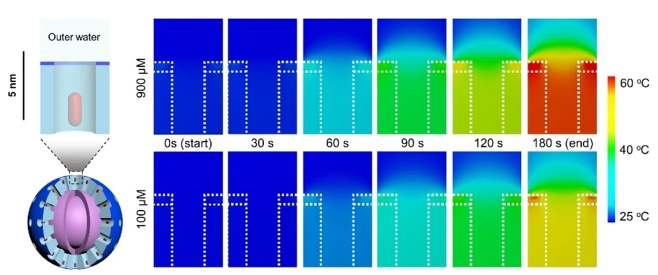 Open access visualization of Heatmap, Doxorubicin, Saline Buffer, Acidic Conditions, NIR Laser