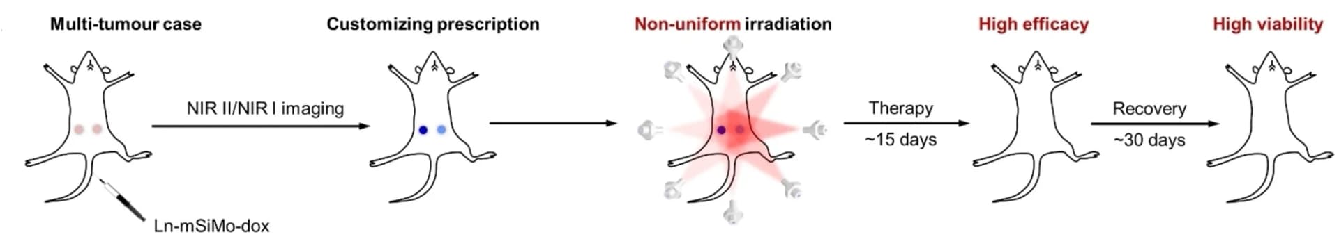 Open access visualization of Workflow, Flowchart, Illustration, Irradiation, Multi-Tumor