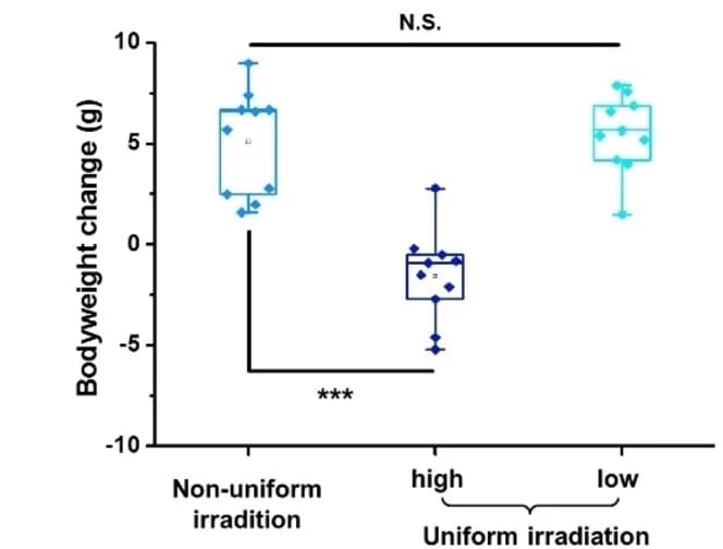 Open access visualization of Box Plot, Scatter Plot, Bodyweight, Irradiation
