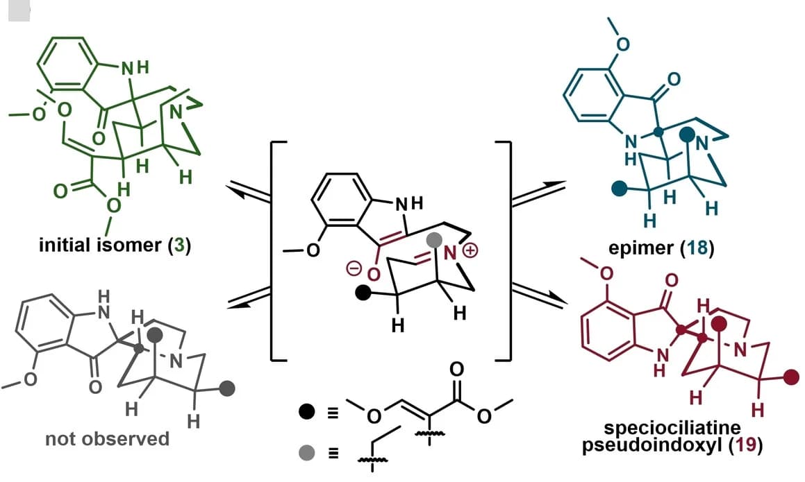 Open access visualization of Chemical Structure, Isomerization, Isomers, Structure