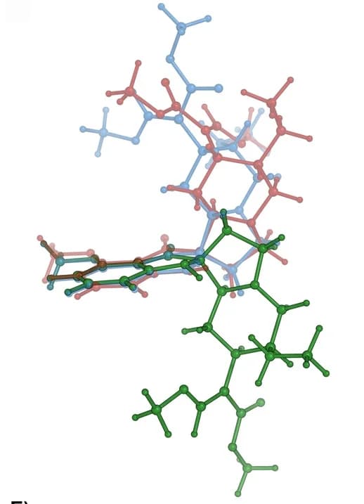 Open access visualization of Protein Structure, Chemical Structure, Structures, Conformations