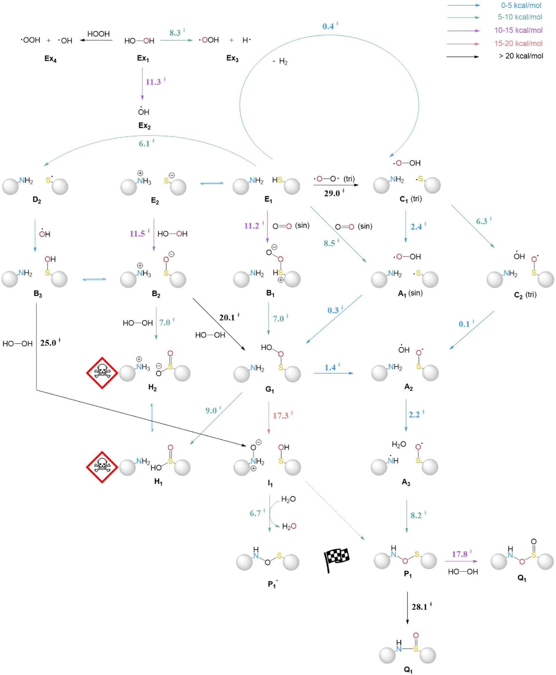 Open access visualization of Workflow, Flowchart, Reaction Pathways, Cysteine, Lysine
