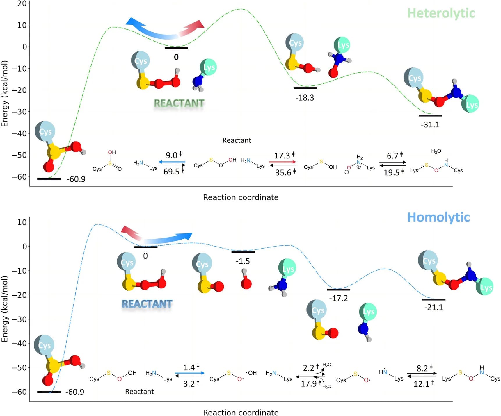 Open access visualization of Line Plot, Energy Diagram, NOS, Heterolytic Pathway, Homolytic Pathway
