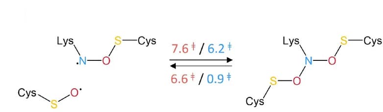 Open access visualization of Chemical Structure, NOS, Lys61, Cys22, Cys44