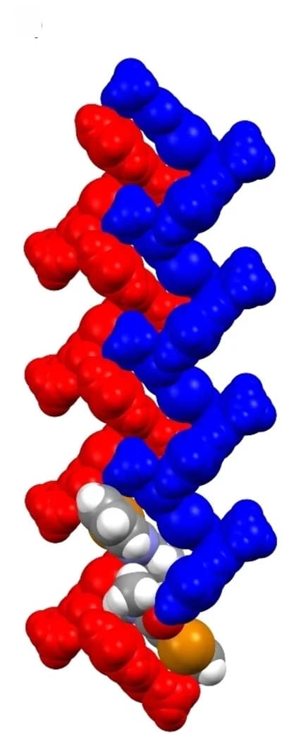 Open access visualization of Protein Structure, Chemical Structure, Crystal Structure, Supramolecular Helix, Pi-Pi Interaction