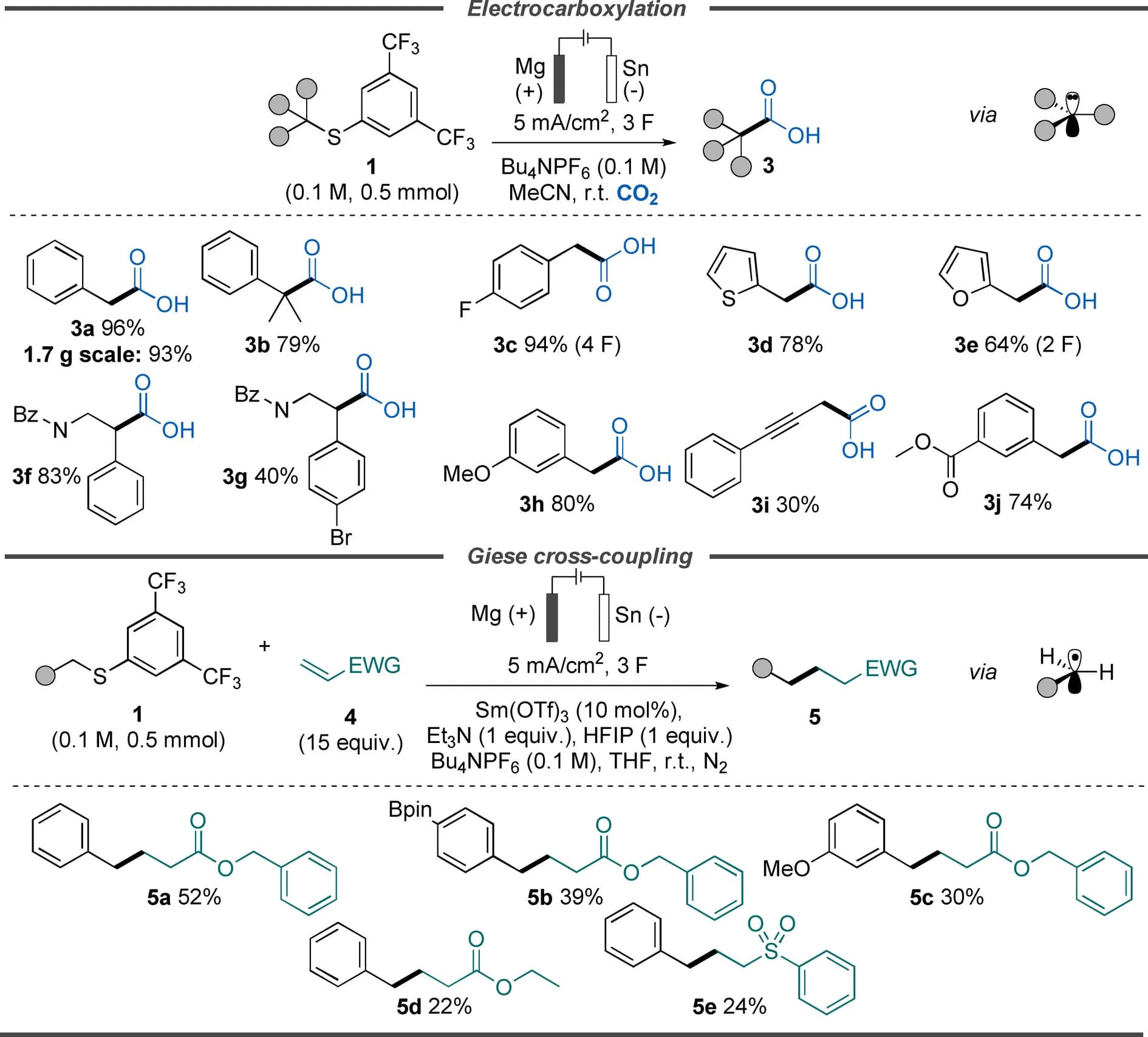Open access visualization of Workflow, Flowchart, Illustration, Table Image, Cross-Coupling