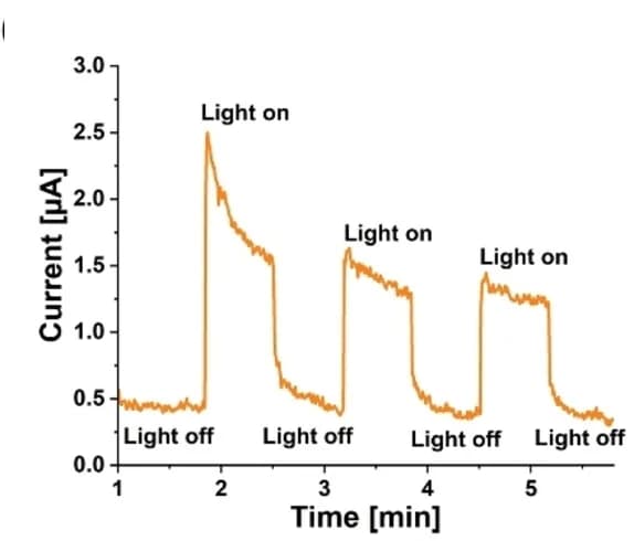 Open access visualization of Line Plot, Photocurrent measurement, PMCR-1