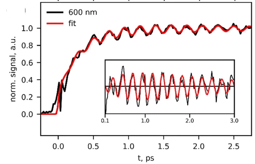 Open access visualization of Line Plot, CVWP motions, Pt-Pt stretching vibration, Oscillatory signal