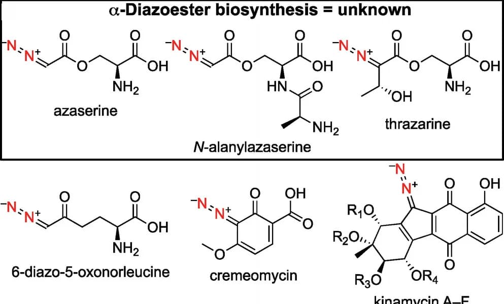 Open access visualization of Chemical Structure, Natural Products, Diazo Compounds, Azaserine, N-alanylazaserine