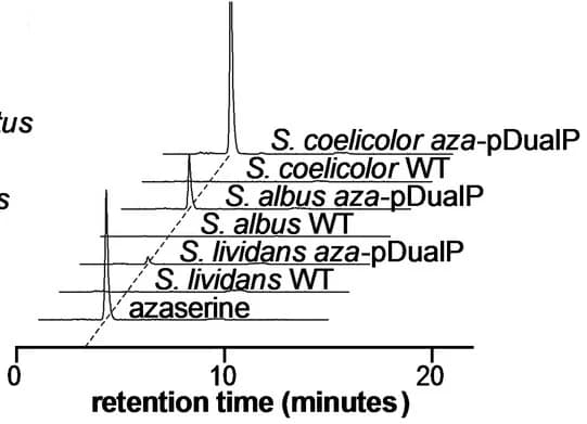 Open access visualization of Line Plot, Density Plot, Ridge Plot, Ion Chromatogram, Extracts